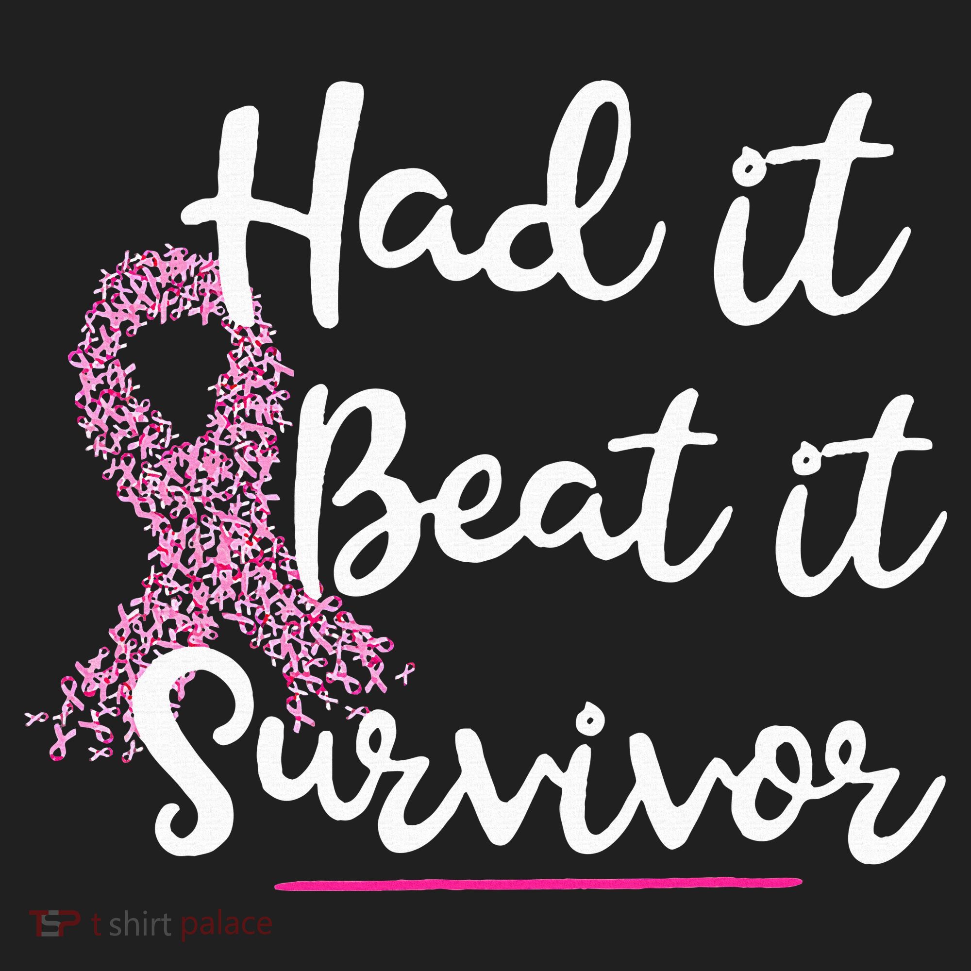Breast Cancer I Had It I Beat It Survivor Pink Ribbon Gift Beanie