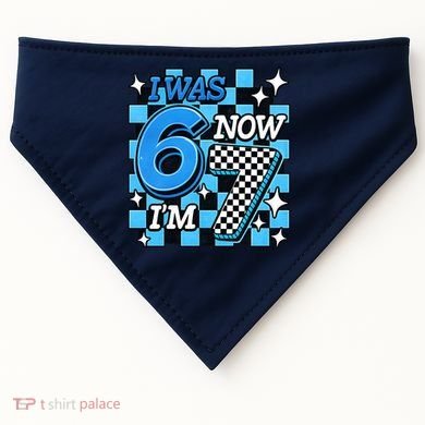 Blue Checkered I Was 6 Now I'm 7 67 Birthday Boy USA-Made Doggie Bandana