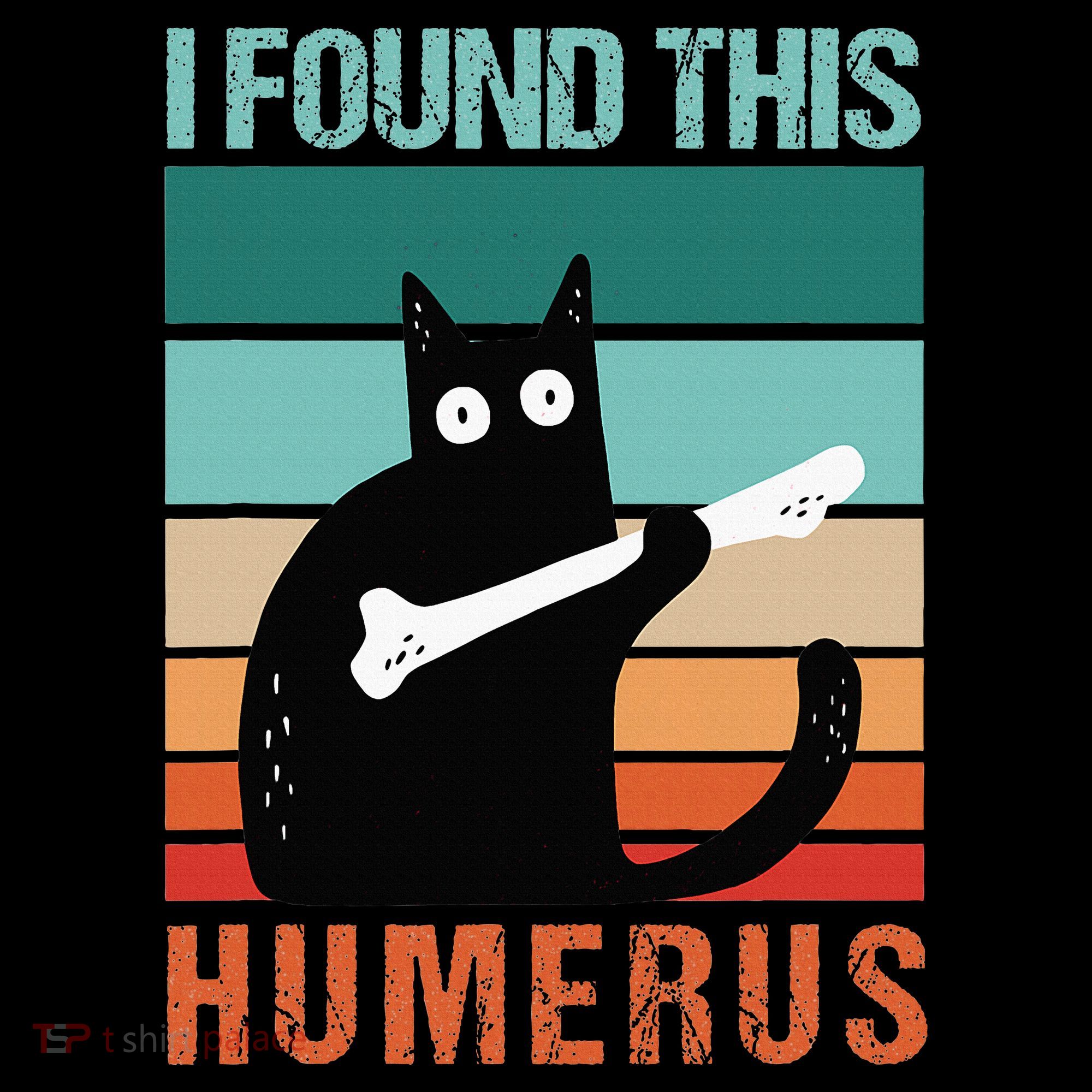 Black Cat I Found This Humerus Cat Joke Hoodie