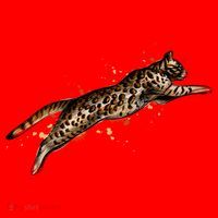 Bengal Cat Jumping From A Splash Santa Hat thumb 1