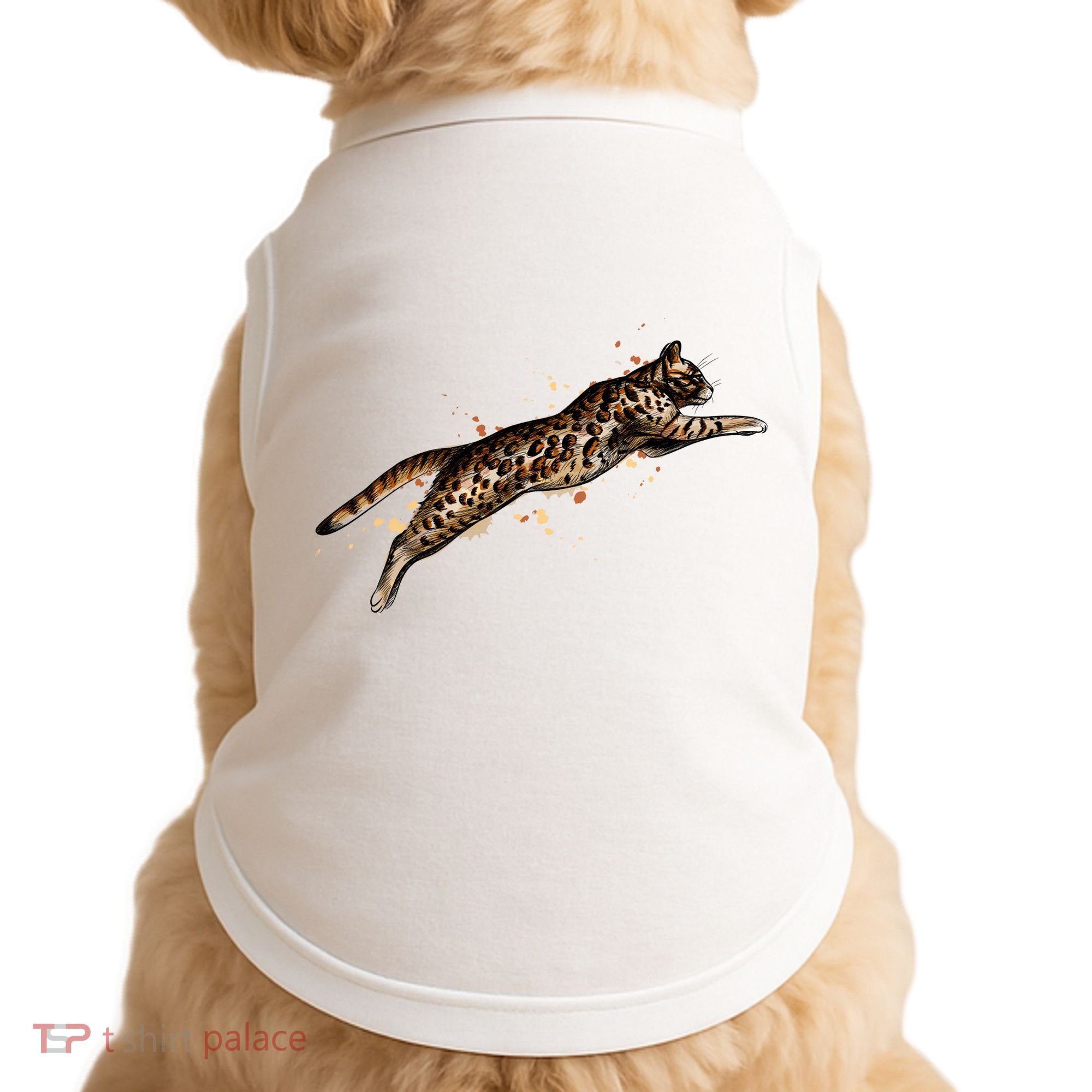 Bengal Cat Jumping From A Splash Doggie Tank
