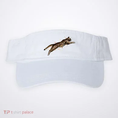 Visor