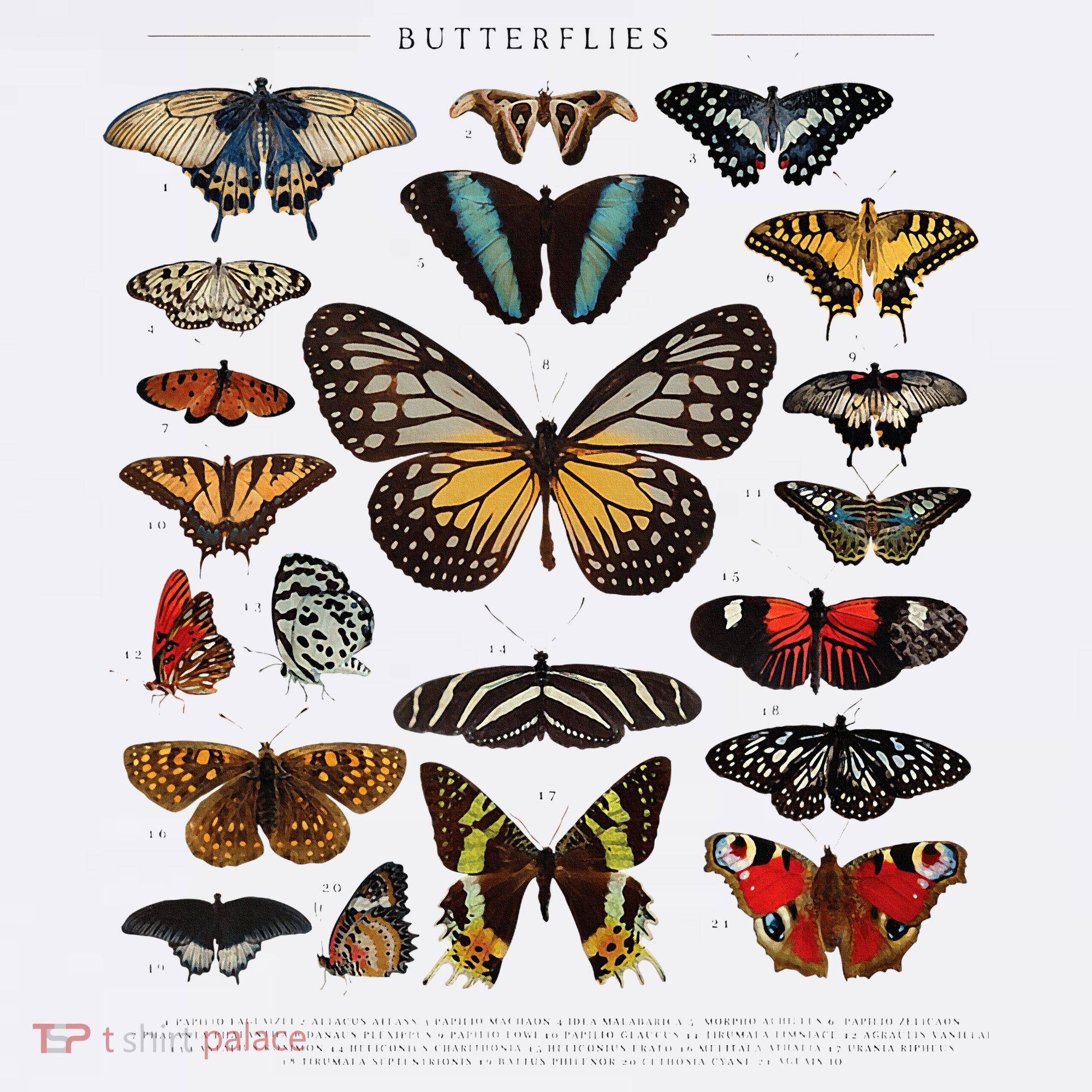 Butterfly Collection Just A Girl Who Loves Butterflies T-Shirt