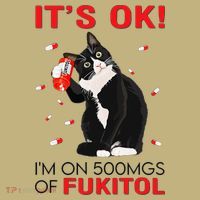 Black Cat Kitten Its Ok Im On 500mgs Of Fukitol T-Shirt thumb 7