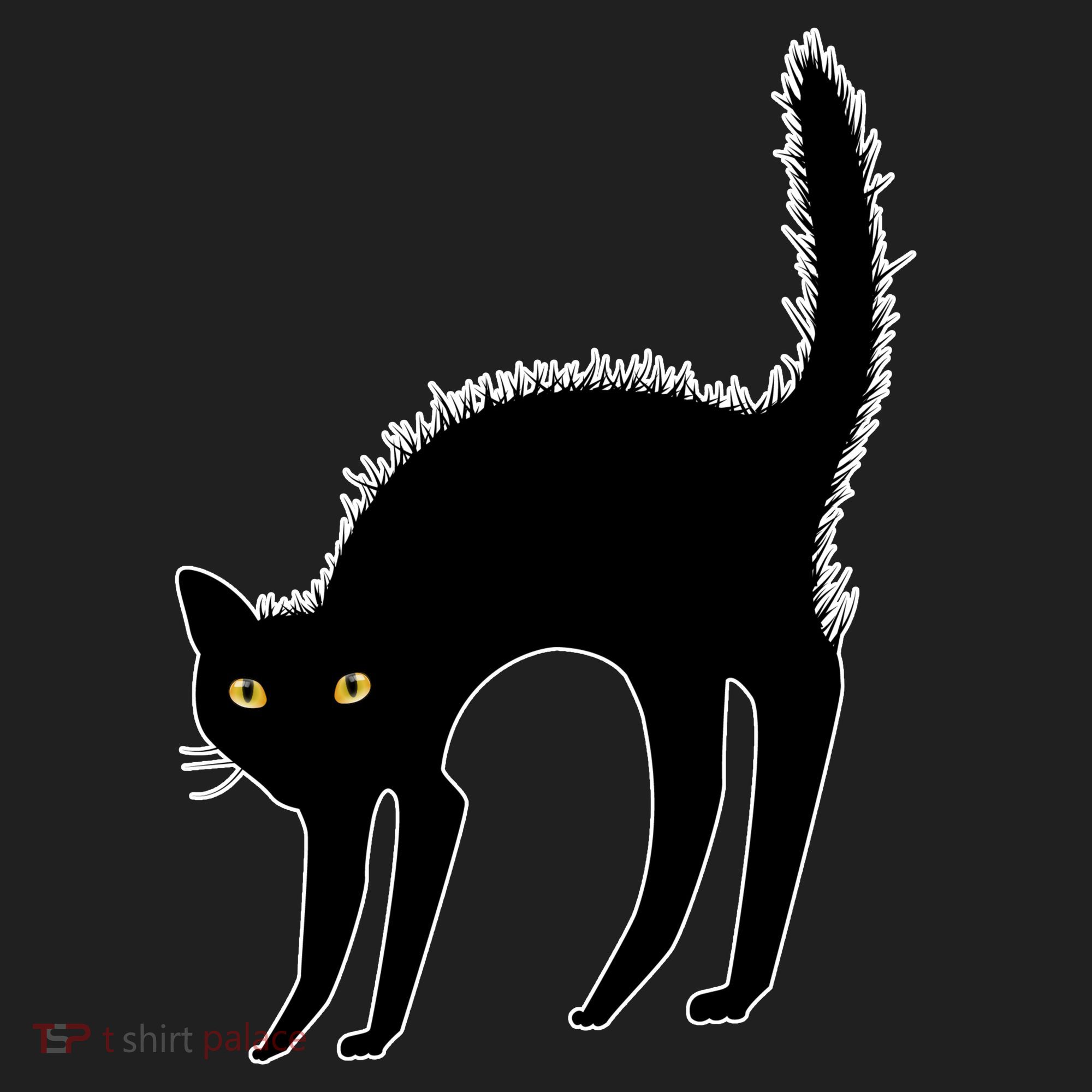 Black Cat Lover Gift Women's Sweatshirt