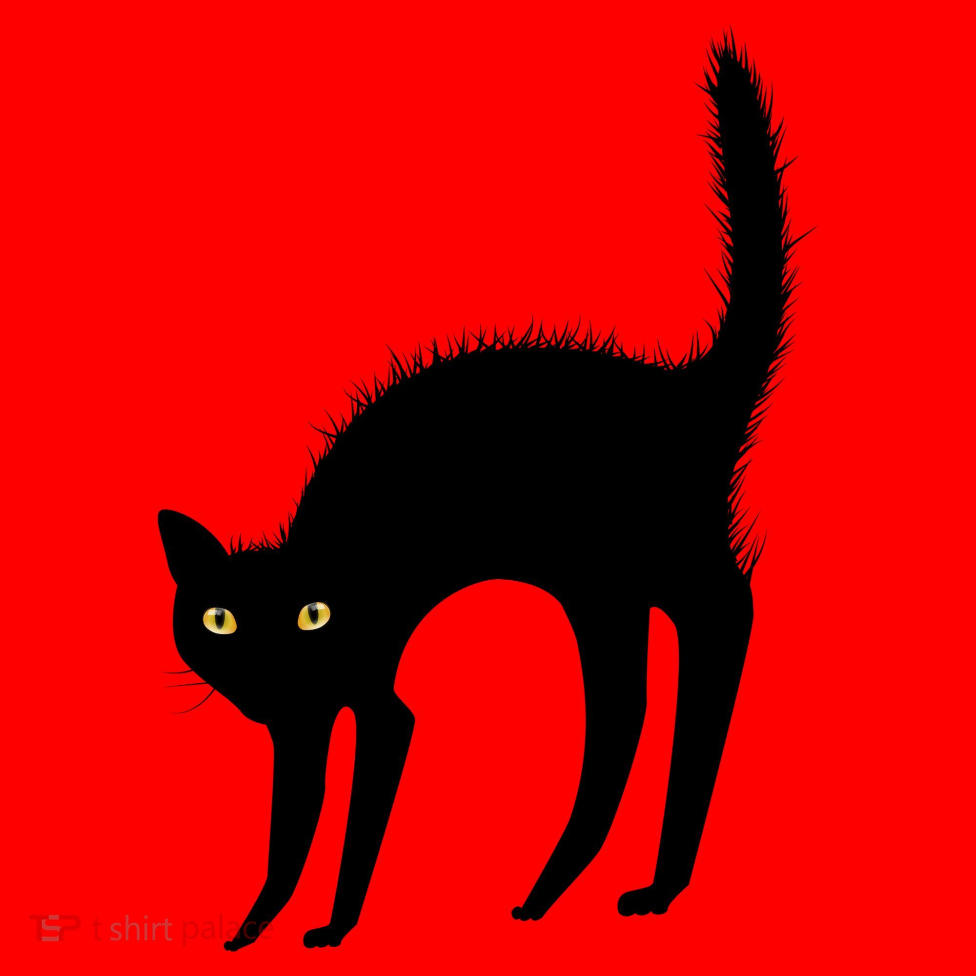 Black Cat Lover Gift Santa Hat