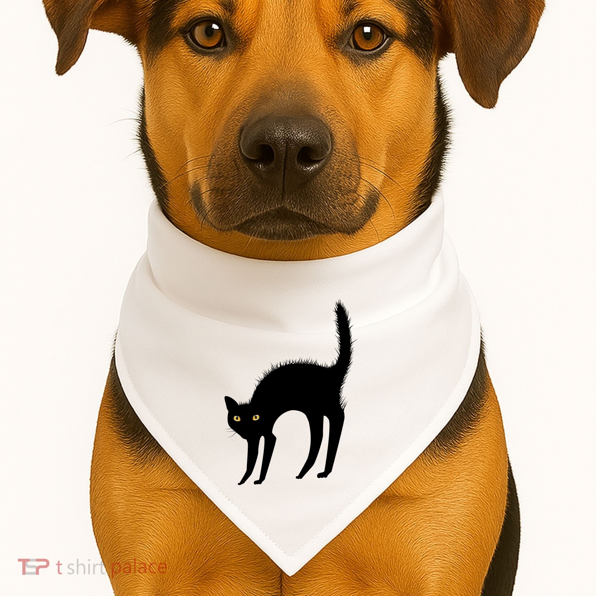 Black Cat Lover Gift USA-Made Doggie Bandana