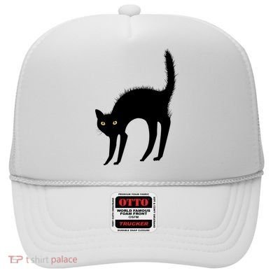 Black Cat Lover Gift Hat