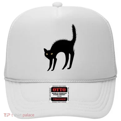 Black Cat Lover Gift Hat