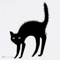 Black Cat Lover Gift Toddler T-Shirt thumb 4