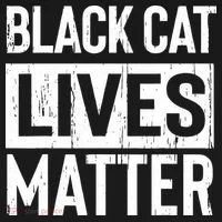Black Cat Lives Matter Funny Gift Women's Hoodie thumb 2
