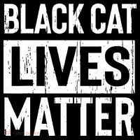 Black Cat Lives Matter Funny Gift Women's T-Shirt thumb 6