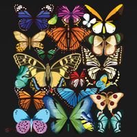 Butterfly Collection Monarch Butterfly Lover Butterflies Backpack thumb 2