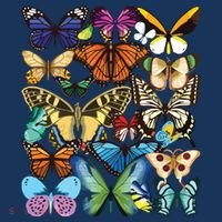 Butterfly Collection Monarch Butterfly Lover Butterflies Women's Hoodie thumb 2
