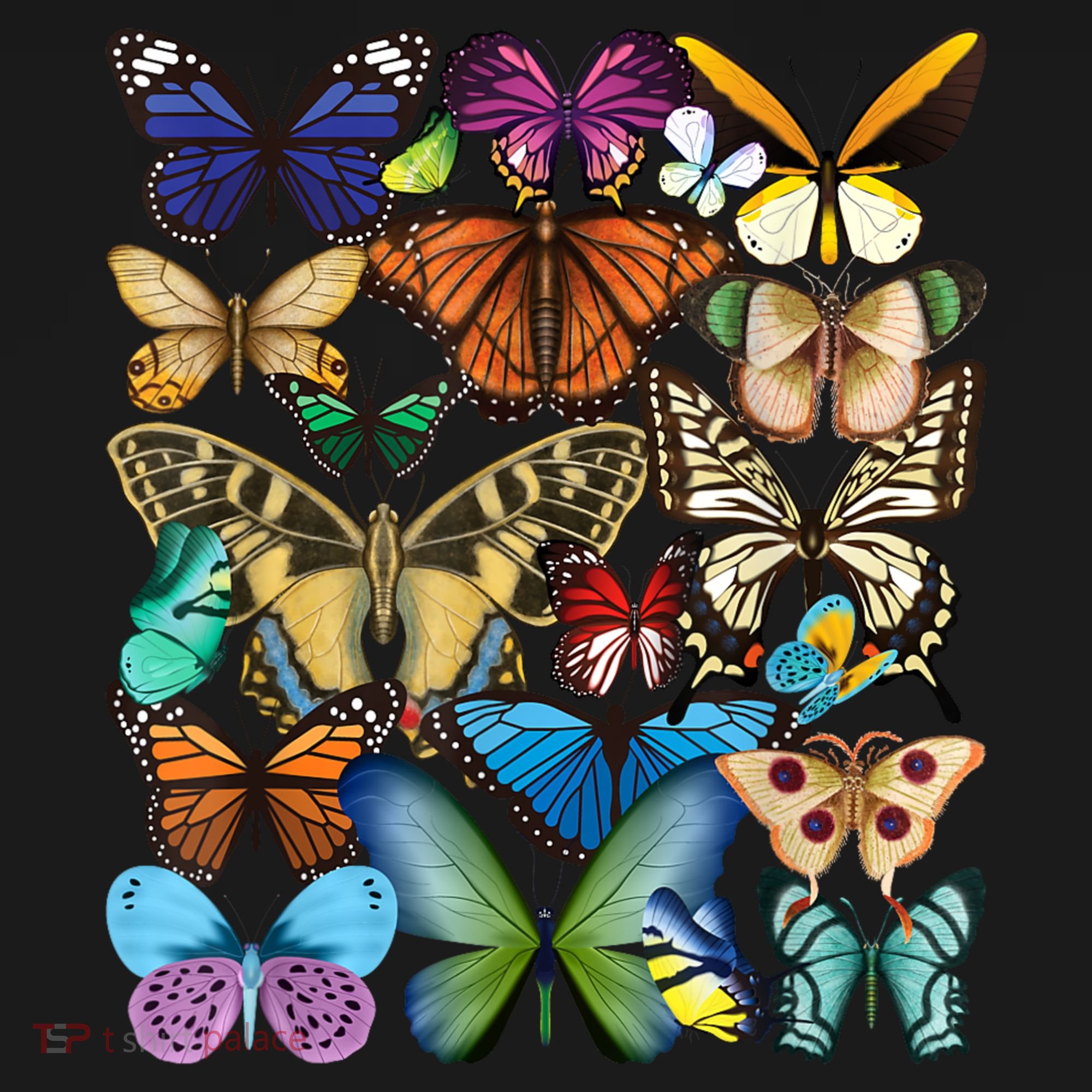 Butterfly Collection Monarch Butterfly Lover Butterflies Hoodie