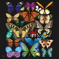 Butterfly Collection Monarch Butterfly Lover Butterflies Tote Bag thumb 4