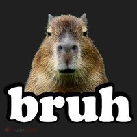 Bruh Capybara Meme Funny Bruh Saying Women's Sweatshirt thumb 2