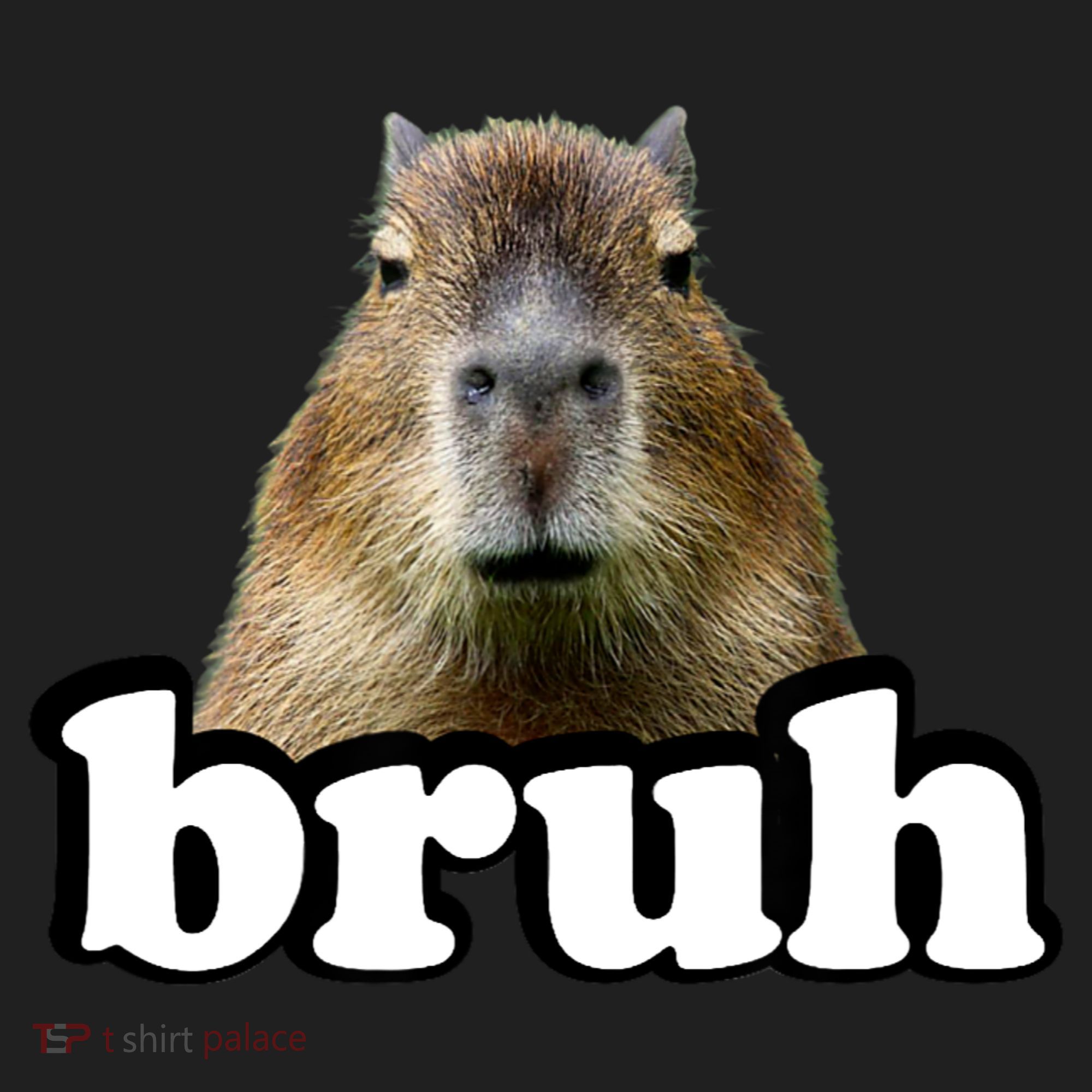Bruh Capybara Meme Funny Bruh Saying Women's Sweatshirt