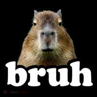 Bruh Capybara Meme Funny Bruh Saying Backpack thumb 2