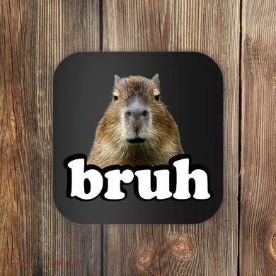 Bruh Capybara Meme Funny Bruh Saying Coaster