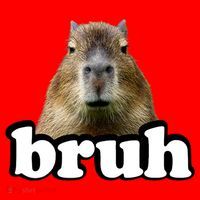 Bruh Capybara Meme Funny Bruh Saying Santa Hat thumb 1