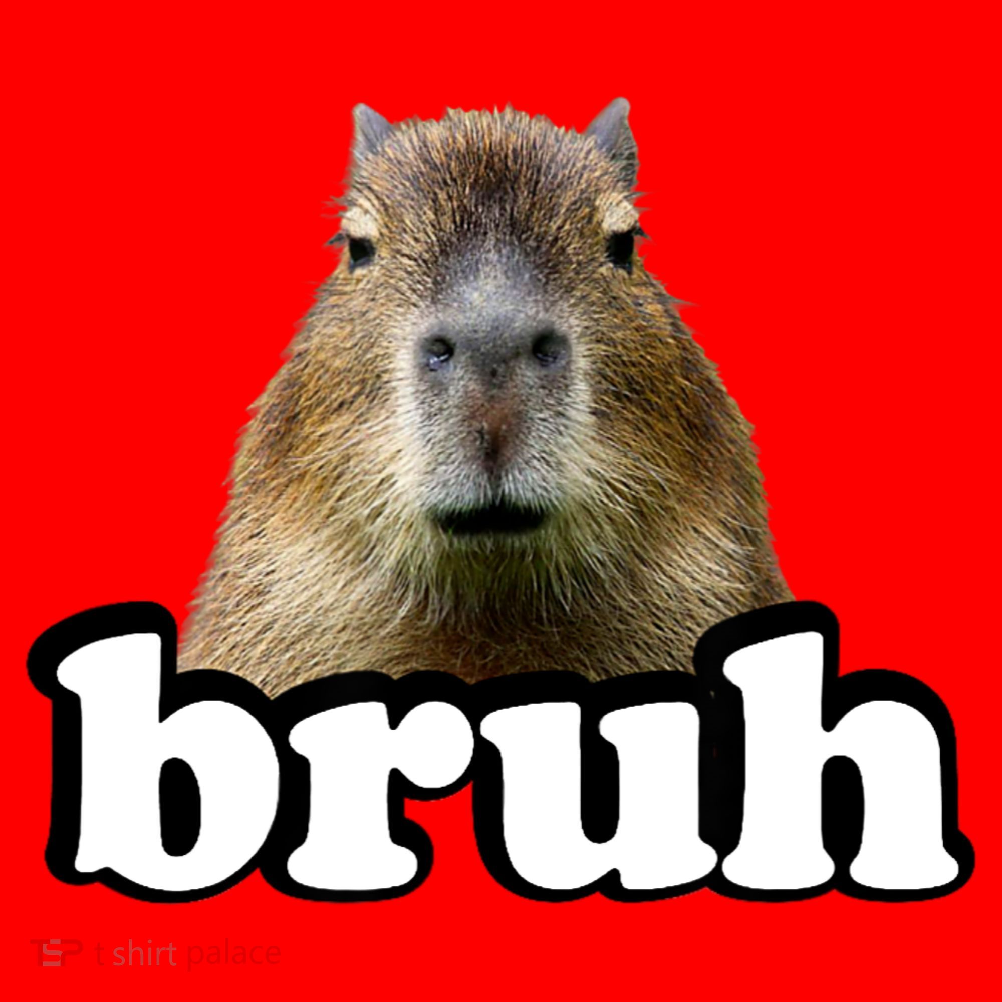 Bruh Capybara Meme Funny Bruh Saying Santa Hat