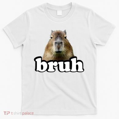 Bruh Capybara Meme Funny Bruh Saying T-Shirt