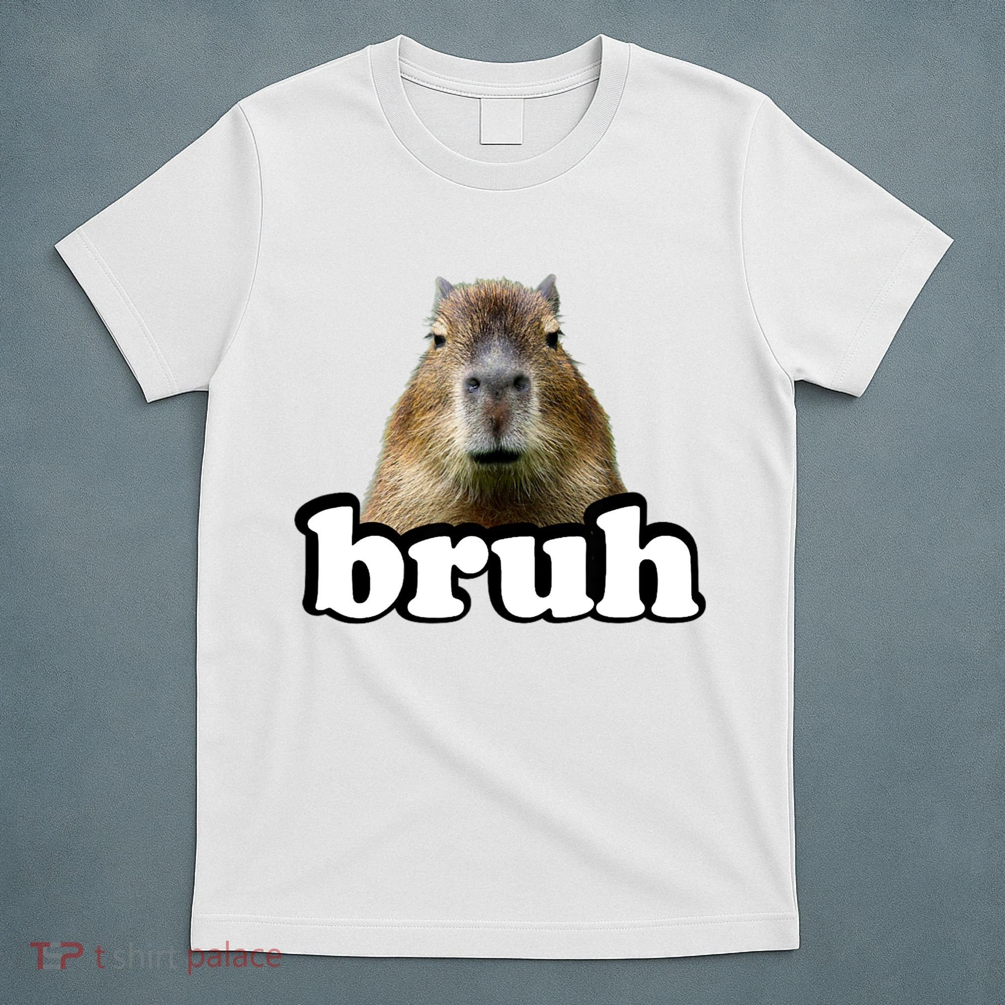 Bruh Capybara Meme Funny Bruh Saying T-Shirt