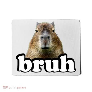 Bruh Capybara Meme Funny Bruh Saying Mousepad