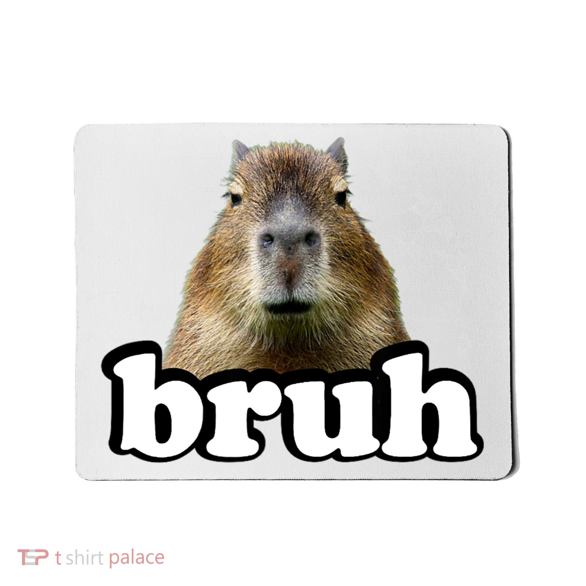 Bruh Capybara Meme Funny Bruh Saying Mousepad