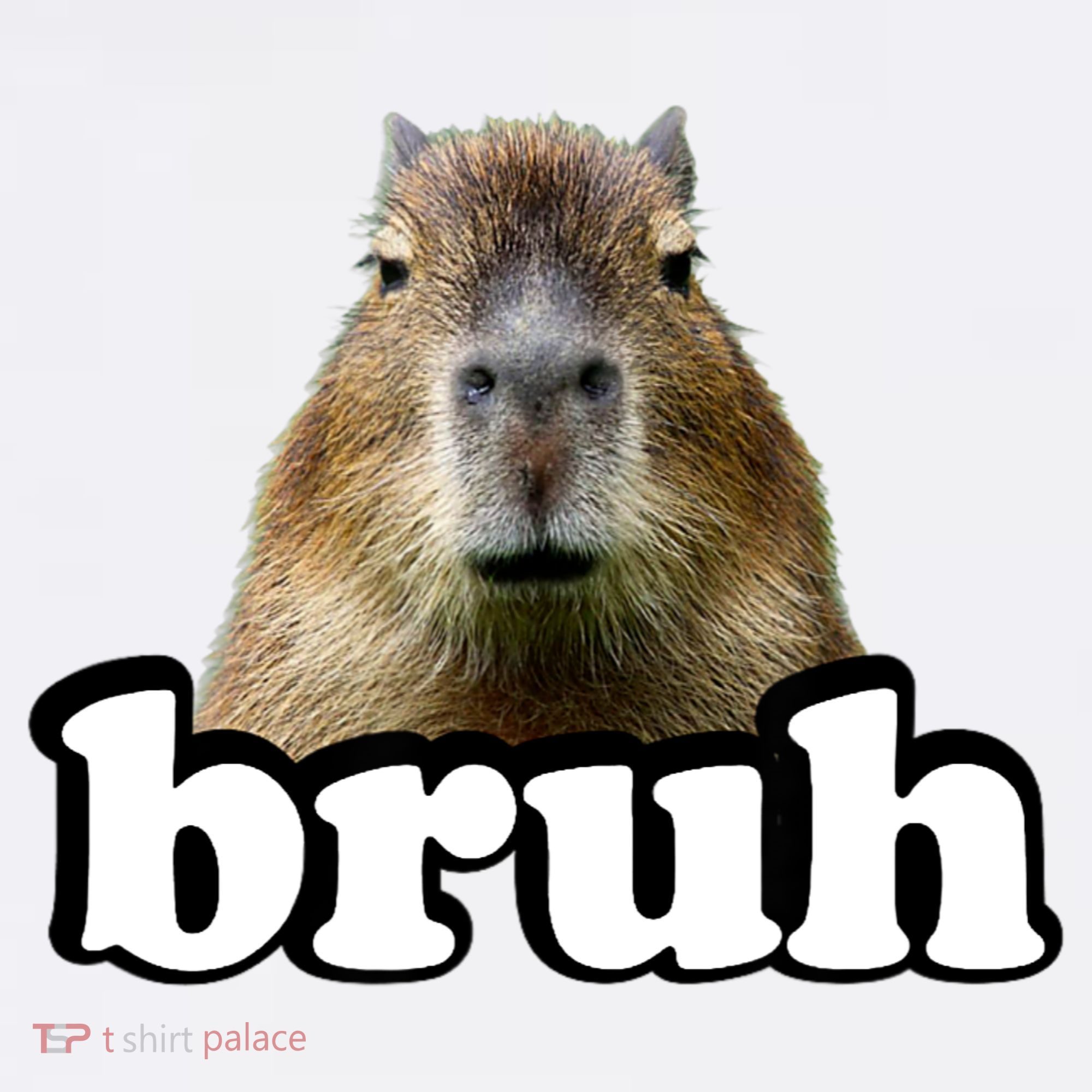 Bruh Capybara Meme Funny Bruh Saying Baby Bodysuit