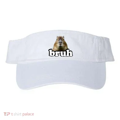 Visor