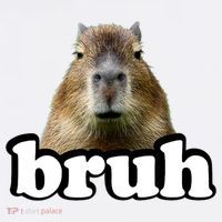 Bruh Capybara Meme Funny Bruh Saying Women's T-Shirt thumb 6