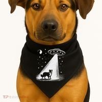 Border Collie Mom Dad Dog Funny Alien Ufo USA-Made Doggie Bandana thumb 1