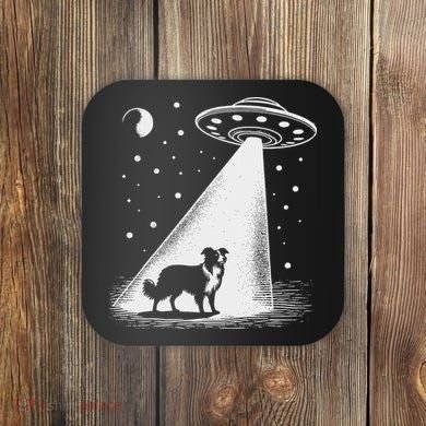 Border Collie Mom Dad Dog Funny Alien Ufo Coaster