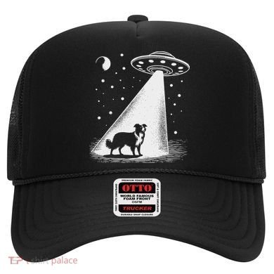 Border Collie Mom Dad Dog Funny Alien Ufo Hat