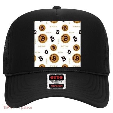 Bitcoin Cryptocurrency Money Hat