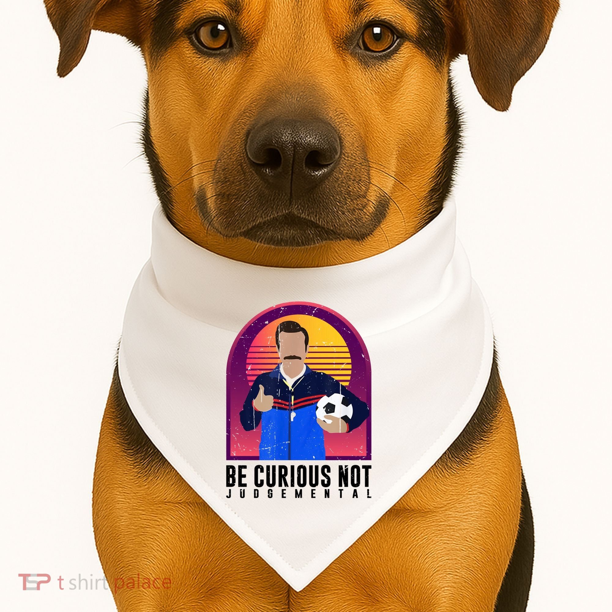 Be Curious Not Judgemental Football Funny USA-Made Doggie Bandana