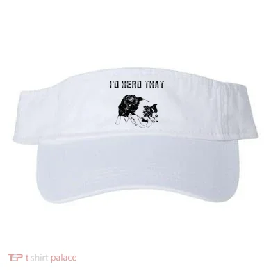Visor