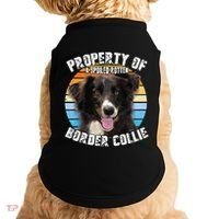 Border Collie Property Of Cute Dog Doggie Tank thumb 0