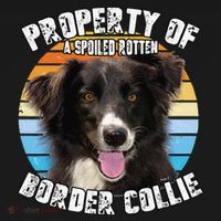 Border Collie Property Of Cute Dog Women's Hoodie thumb 2
