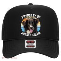 Border Collie Property Of Cute Dog Hat thumb 0