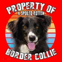 Border Collie Property Of Cute Dog Santa Hat thumb 1