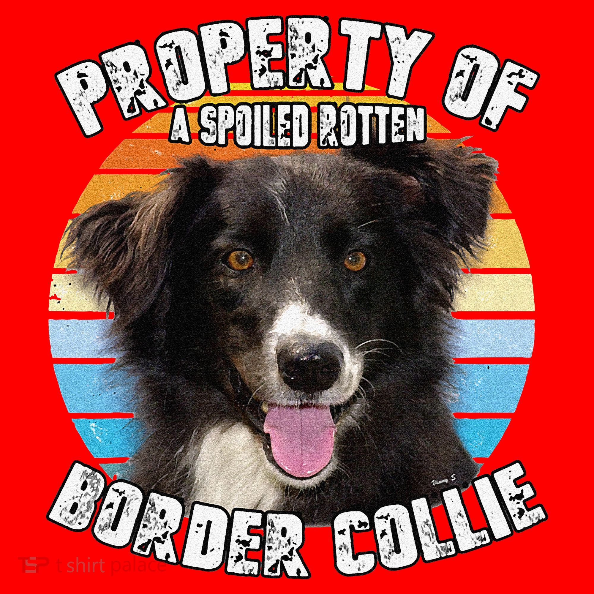 Border Collie Property Of Cute Dog Santa Hat