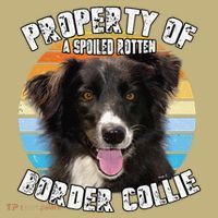 Border Collie Property Of Cute Dog Hoodie thumb 2
