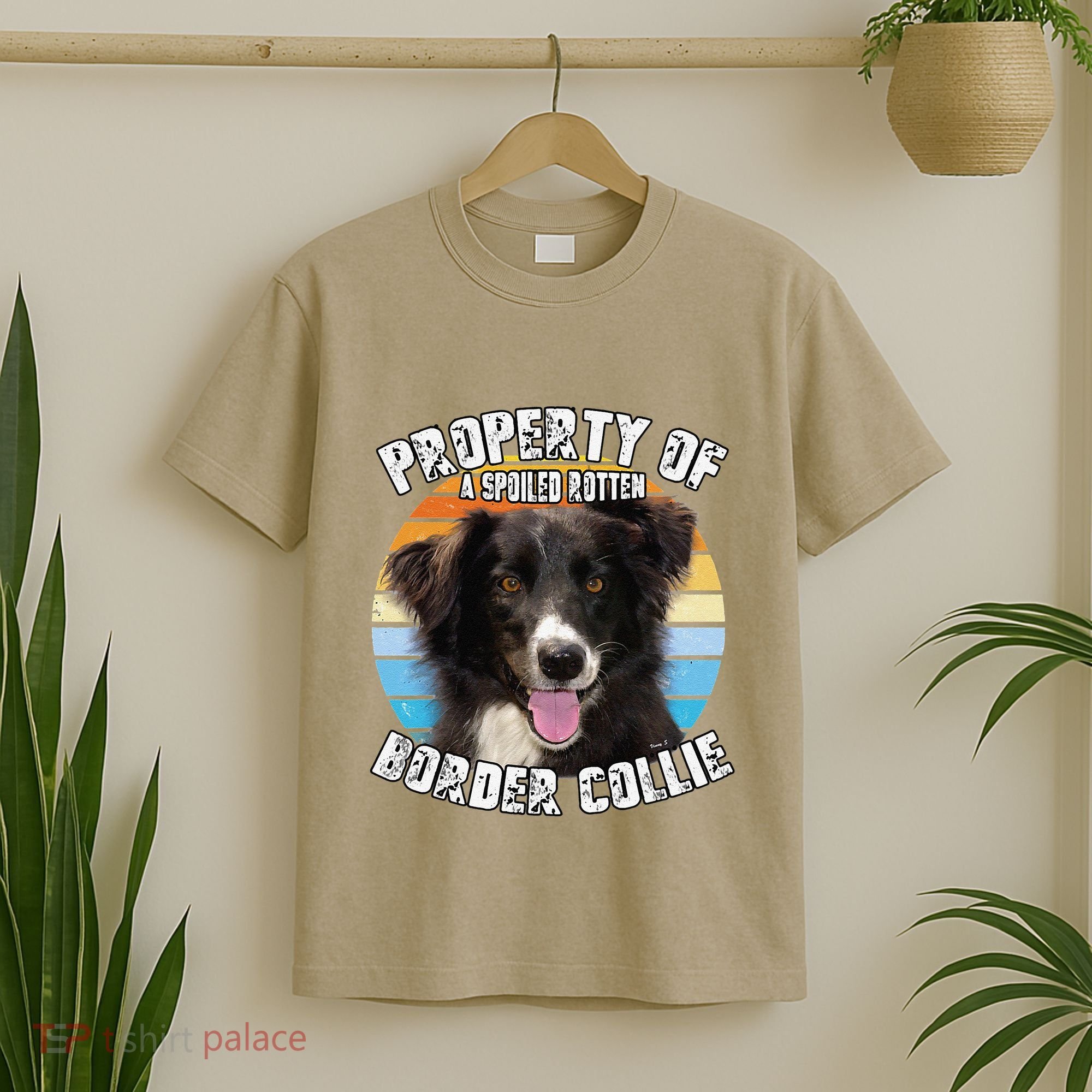 Border Collie Property Of Cute Dog T-Shirt
