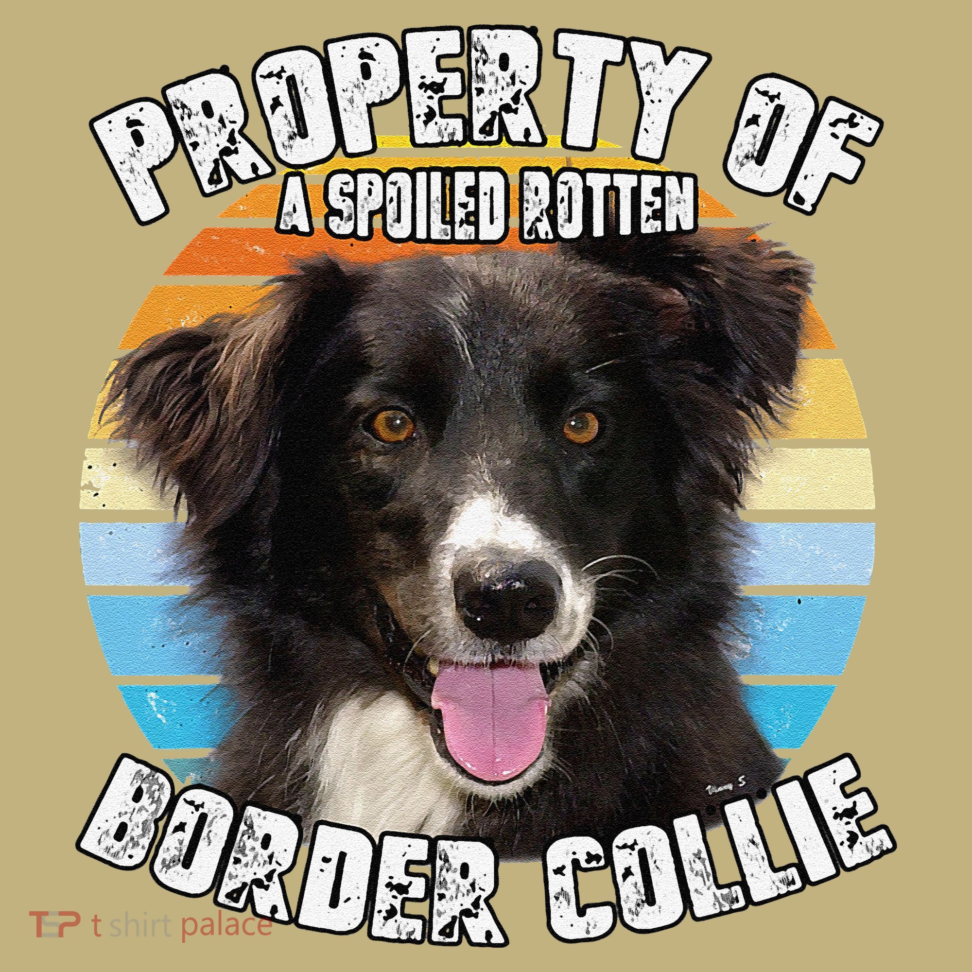 Border Collie Property Of Cute Dog T-Shirt