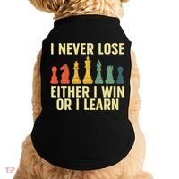 Best Chess Player For  Board Game  Doggie Tank thumb 0