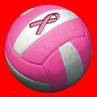 Breast Cancer Ribbon Pink Volleyball Santa Hat thumb 1
