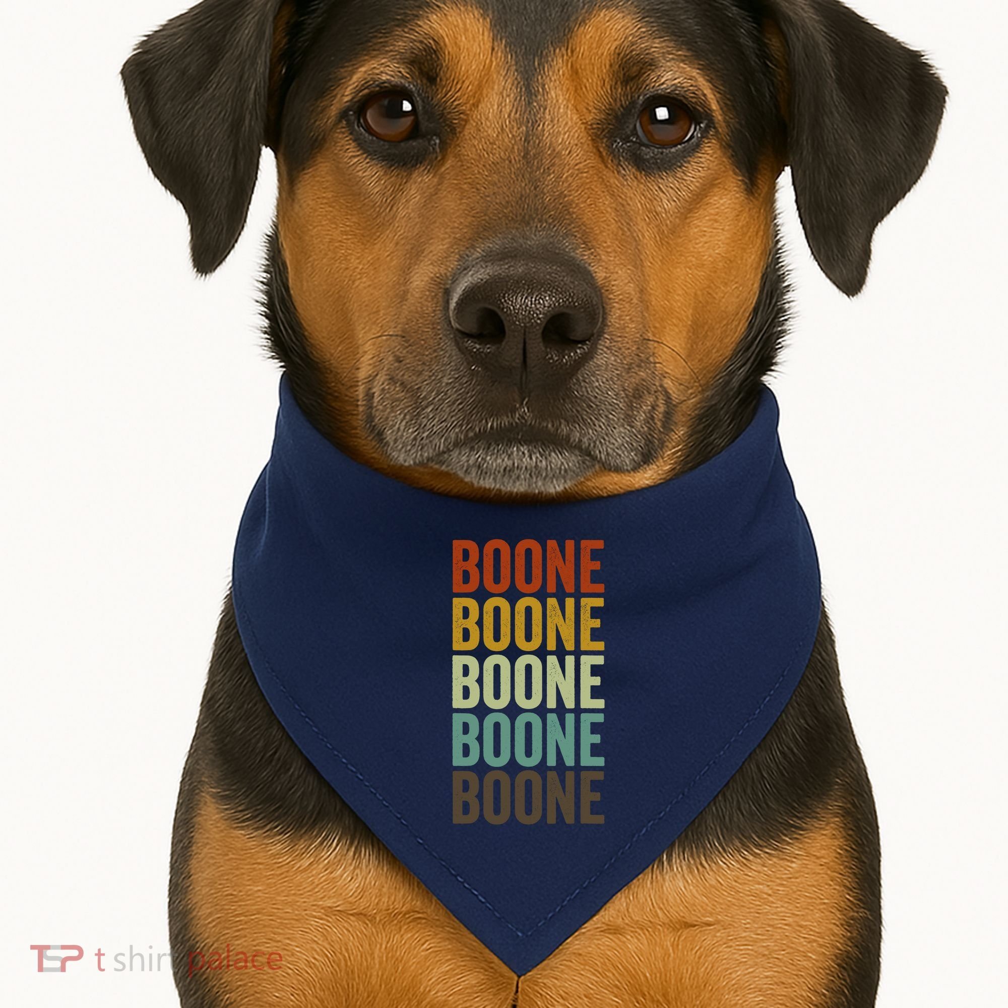 Boone City Retro USA-Made Doggie Bandana